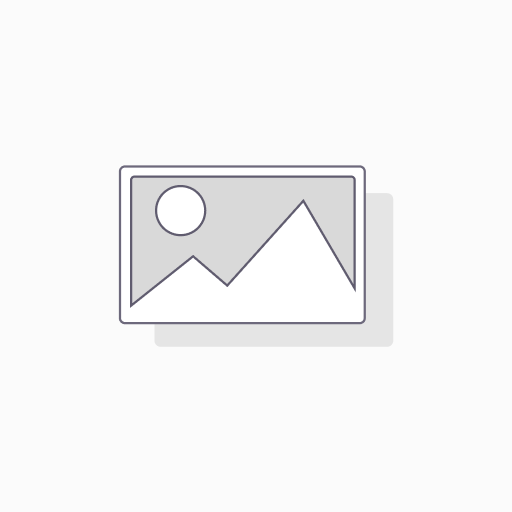 UNI 807 ZDA 48 08 01